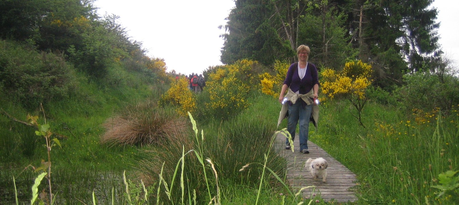 Wanderurlaub mit Hund Nationalparkhauptstadt Schleiden natürlich Eifel