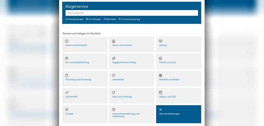 17/2024 - Bild 01: Screenshot der neuen Bürgerserviceplattform auf der Schleidener Website unter www.schleiden.de. (© Grafik: Stadt Schleiden)