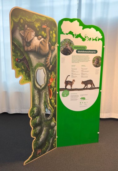 Mit interaktiven Elementen, wie dieser Selfie-Point, informiert die Wanderausstellung „Wildkatzenwälder von morgen“ des BUND. Die Ausstellung ist vom 11. März bis zum 4. Mai im Nationalpark-Zentrum Eifel zu sehen. Die Ausstellung ist im Eintrittspreis für die „Wildnis(t)träume“ enthalten.