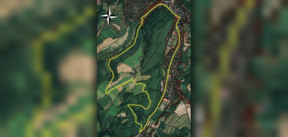 Jagdverpachtung - Jagdgebiet "Hohenfried"; Lageplan.