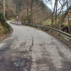 Zufahrtsstraße zur Schafbachmühle.