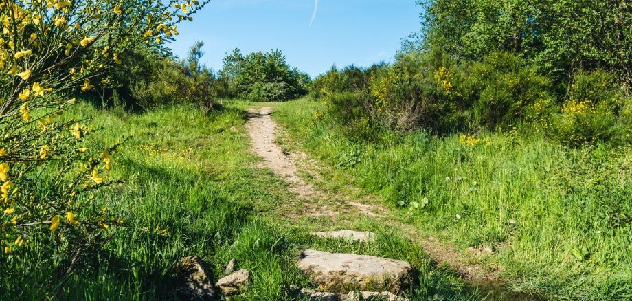 Wanderweg der Wanderung Op Platt.